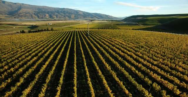 370 Bendigo Loop Road Bendigo_1