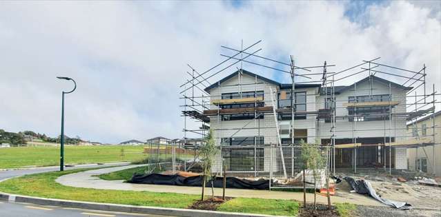 22 Drumnaconagher Road Flat Bush_1