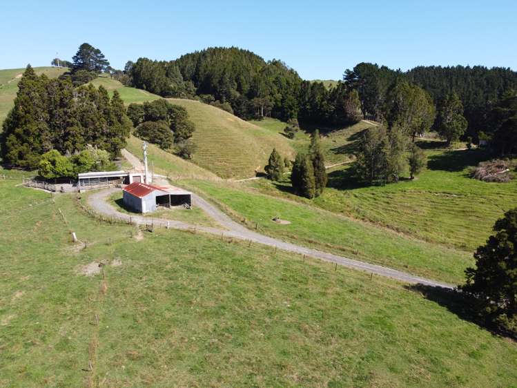 360 Burnside Road Makarau_22