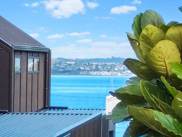 28 Edgars Road Westmere_3