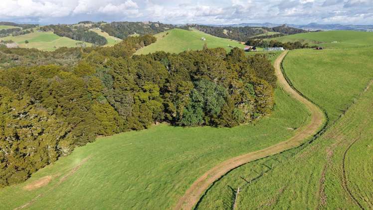 256 McIntyre Road Oromahoe_10