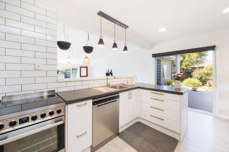 50 Haydon Street Roslyn_5