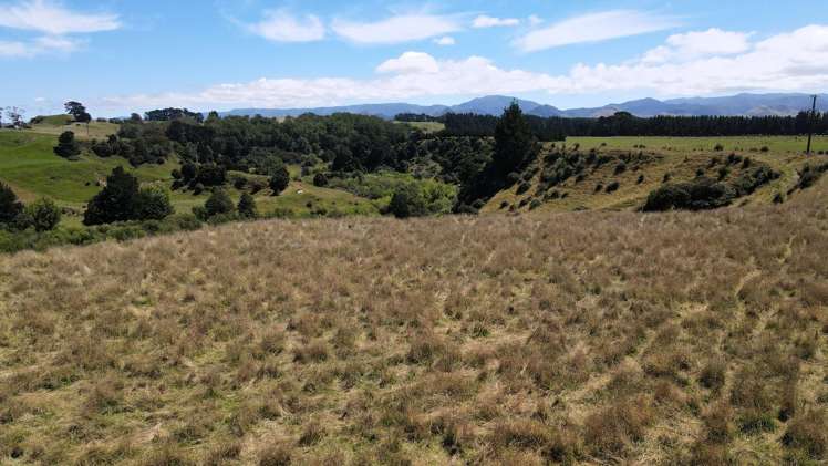 200 Garfield Road Norsewood_7