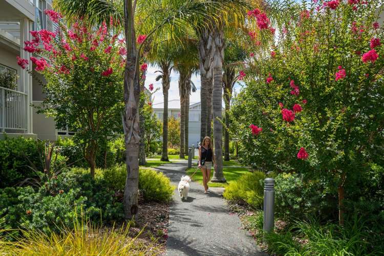 200 Landmark Terrace Orewa_16