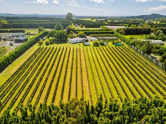1369 State Highway 10 Kerikeri_4