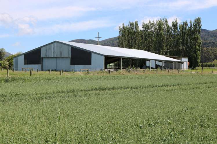 583 Reaby Road Gore_24