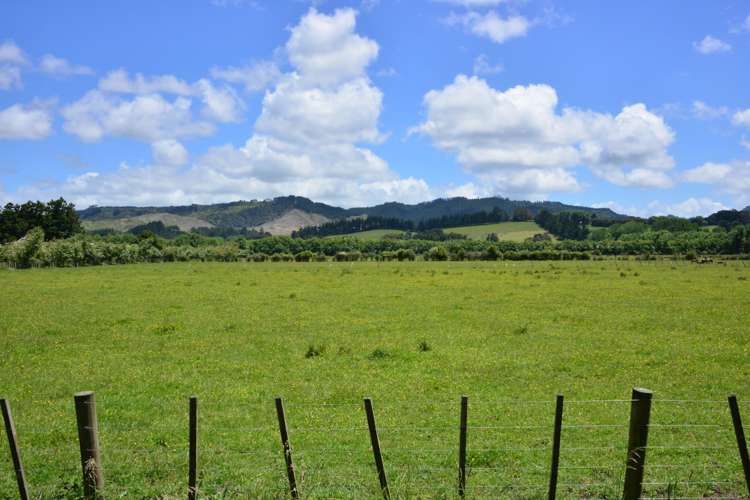 464 Woodcocks Road Warkworth_10