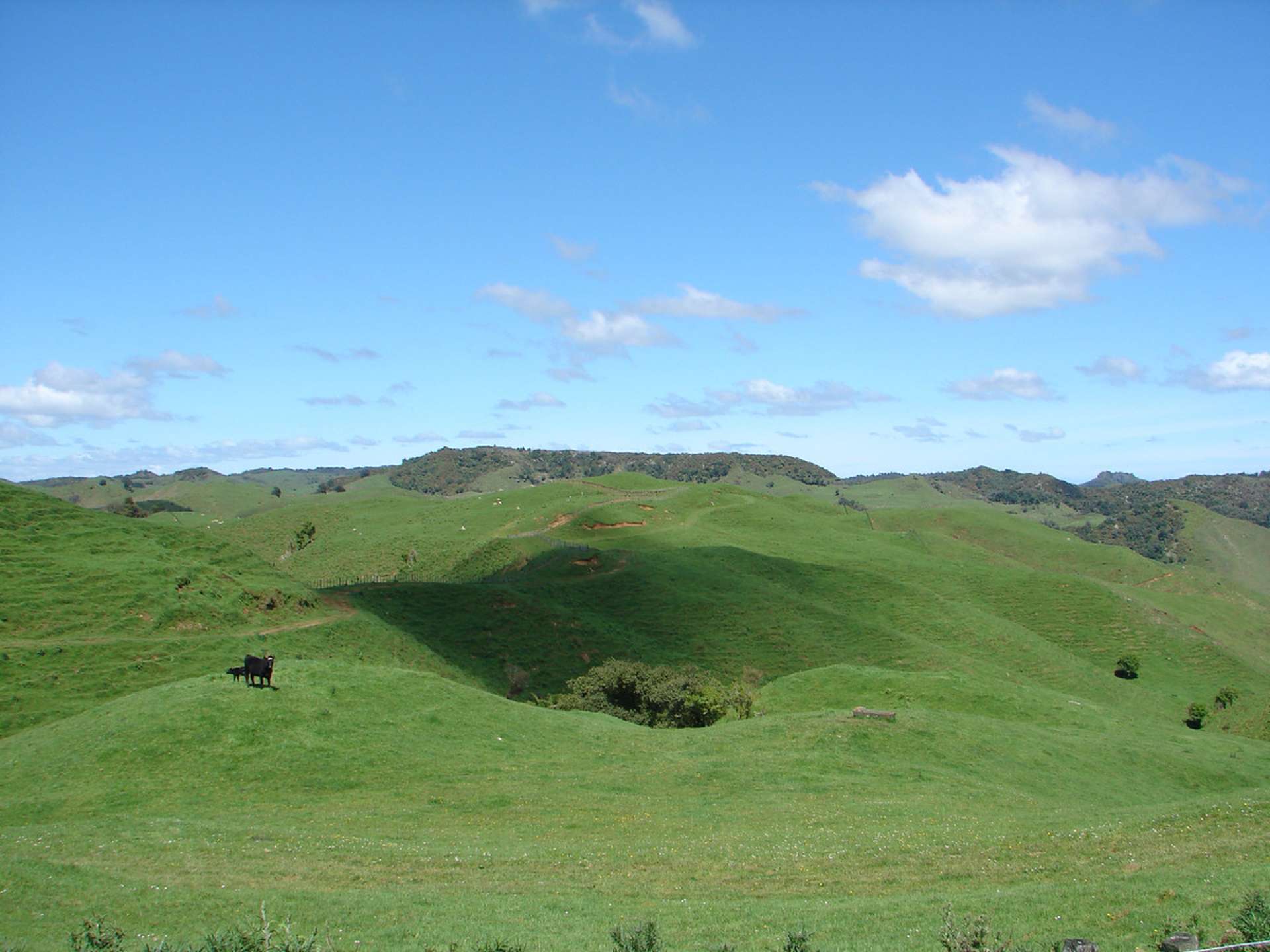 Mahoe Road Waitomo_0