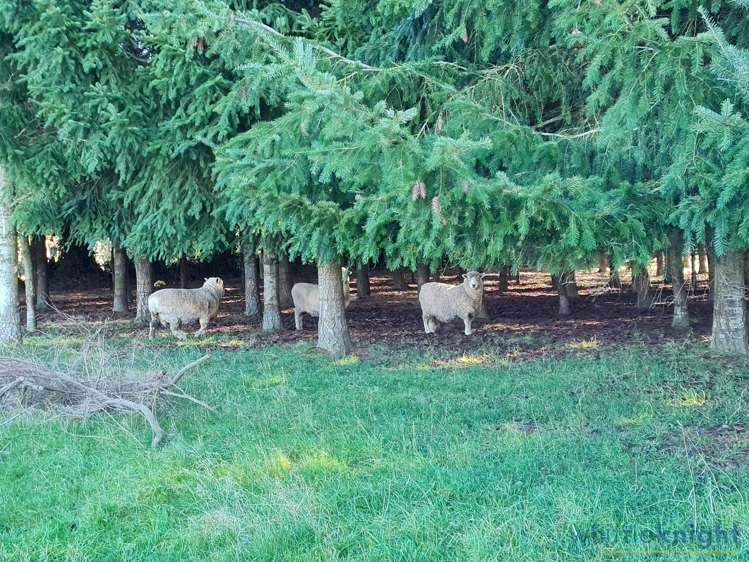 1/749 Mclaughlins Road Darfield_6