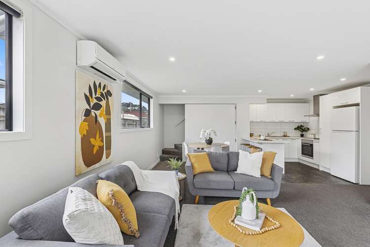 103B Hobart Street Miramar_13