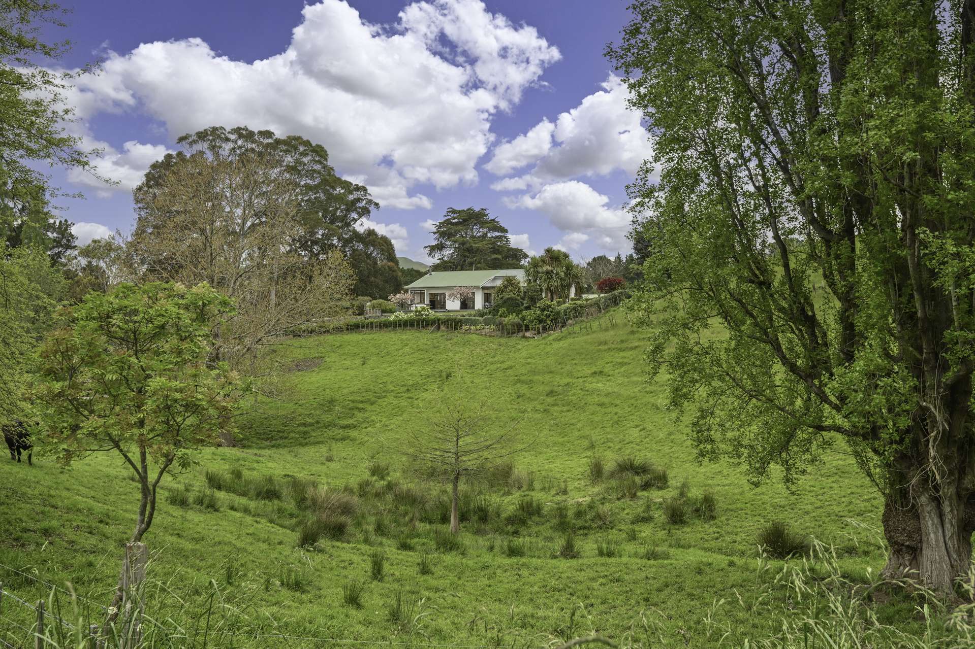 143 Beattie Road Hastings Country_0