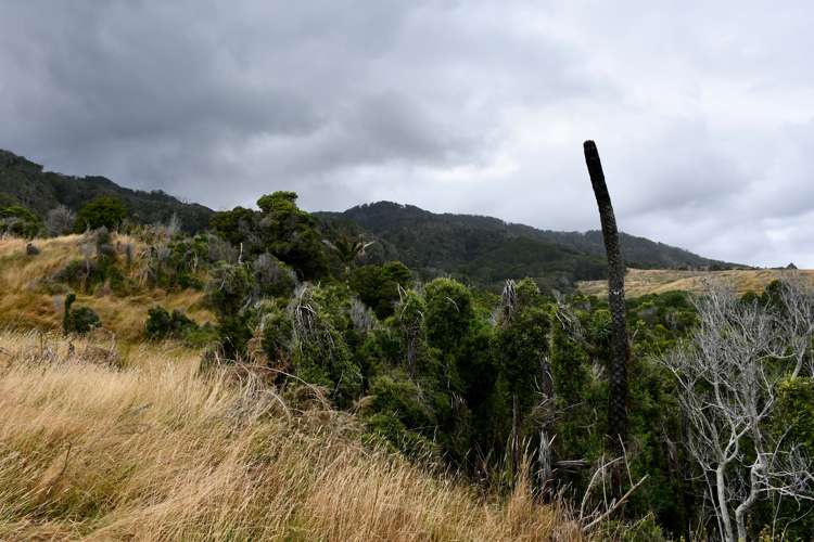 904 Karamea Kohaihai Road Karamea_18