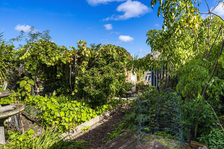 28 Nuffield Avenue Marewa_12