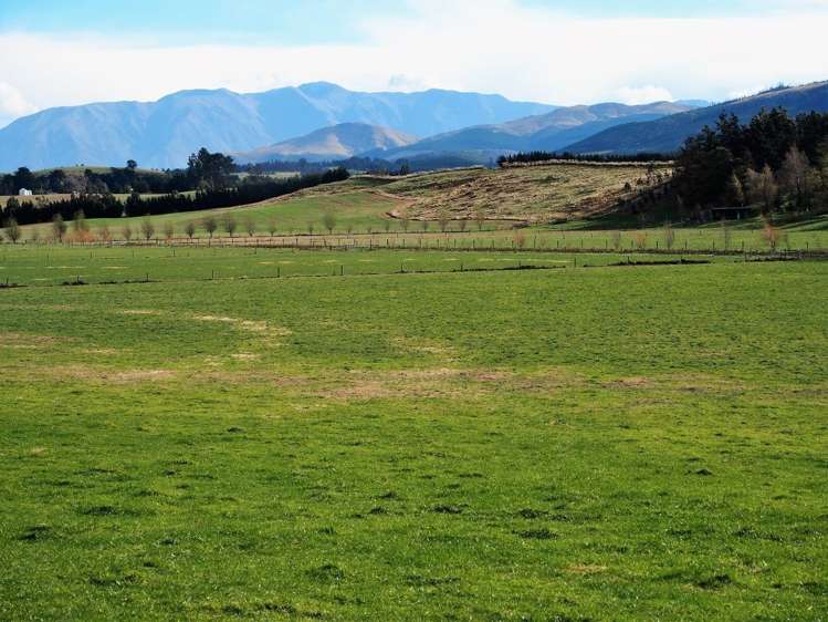 584 Wairiri Road Glentunnel_5