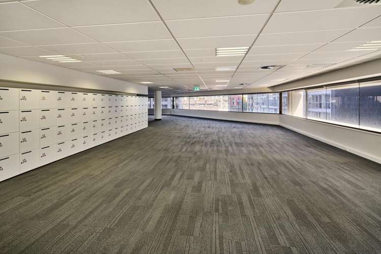 8 Gilmer Terrace Wellington Central_9
