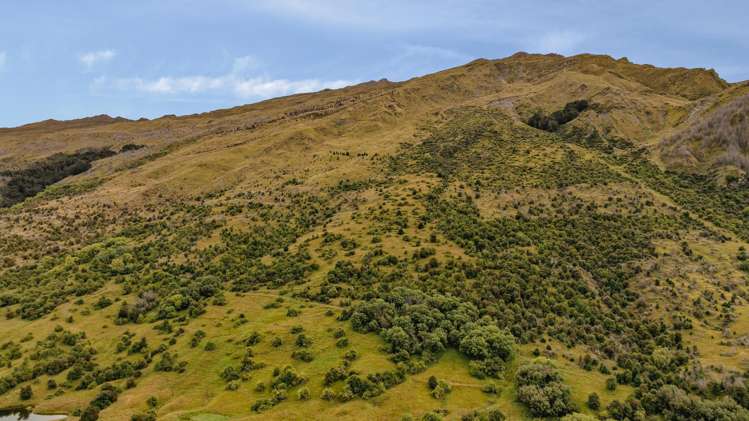 625 Malaghans Road Speargrass Flat_6