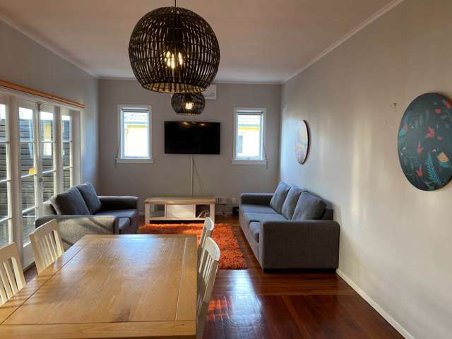 20 Fitzroy Street Papatoetoe_3