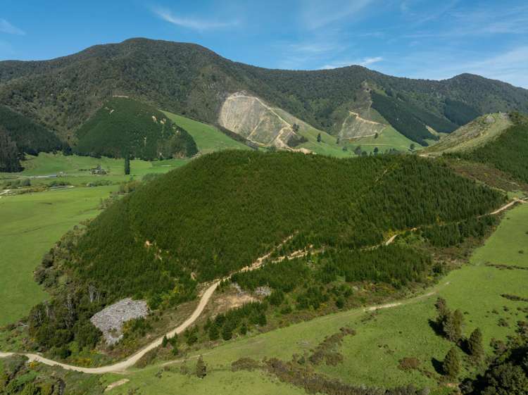 537 Ronga Road Rai Valley_12