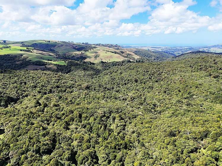 870 Marlborough Road Dargaville Surrounds_9