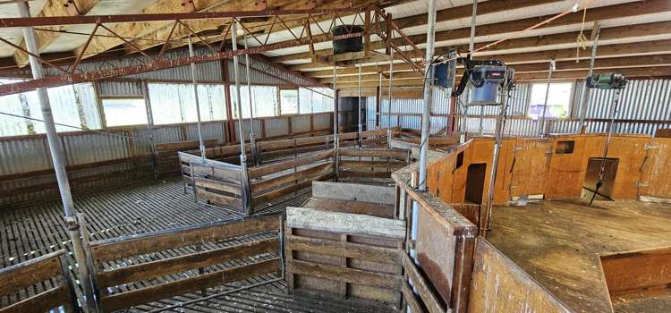 565 Bushy Park Road Waikaka_11