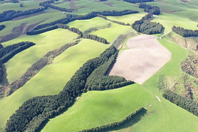 348 Keppoch Road West Otago Surrounds_18