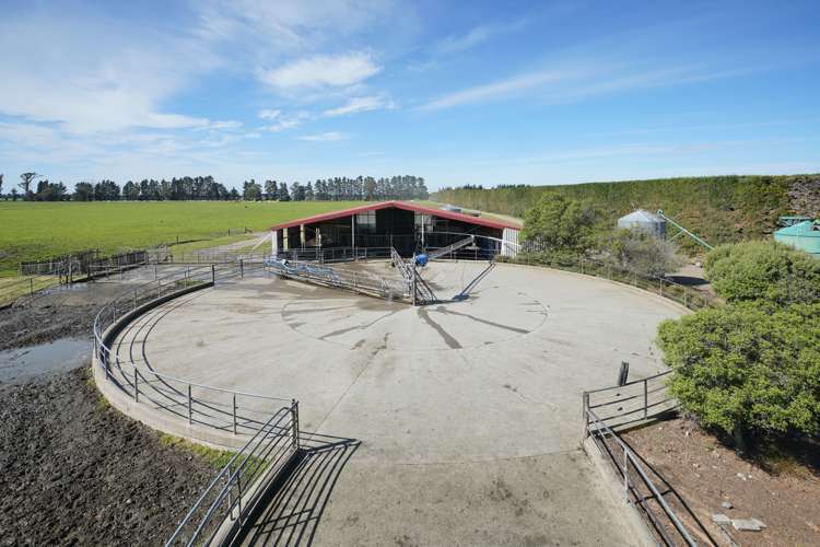 319 Mitchells Road Bankside_24