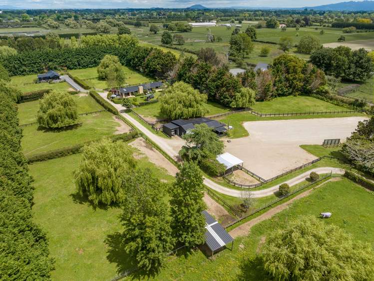 191 Hautapu Road Pukemoremore_2