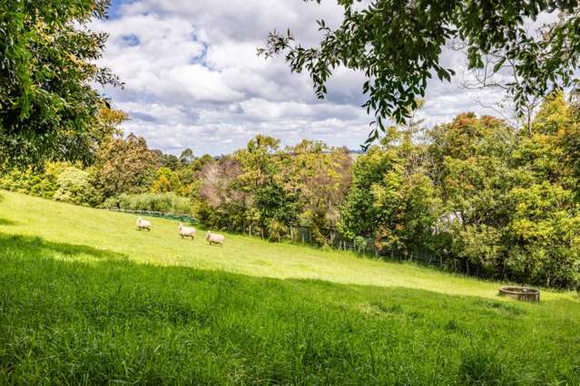 207a Pungaere Road Kerikeri Surrounds_3