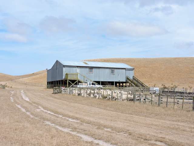 694 Farm Road Hawkes Bay_2