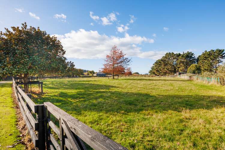 38 Brandon Hall Road Bulls_24