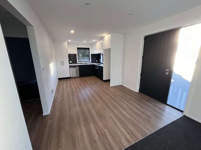 28 Sussex Street Levin_4
