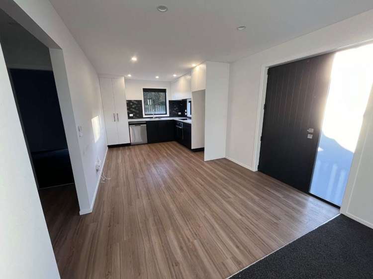 28 Sussex Street Levin_4