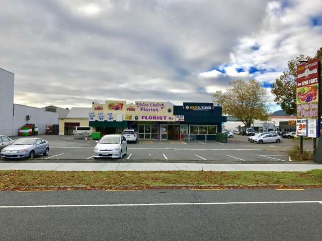 252 Fenton Street Rotorua_2