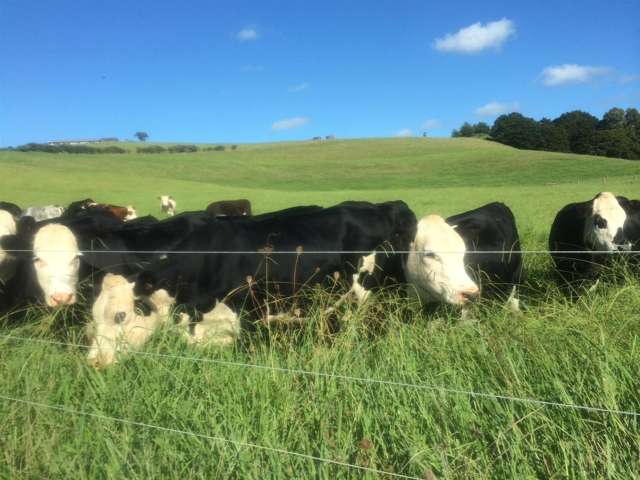 1166 Leigh Road Matakana_4