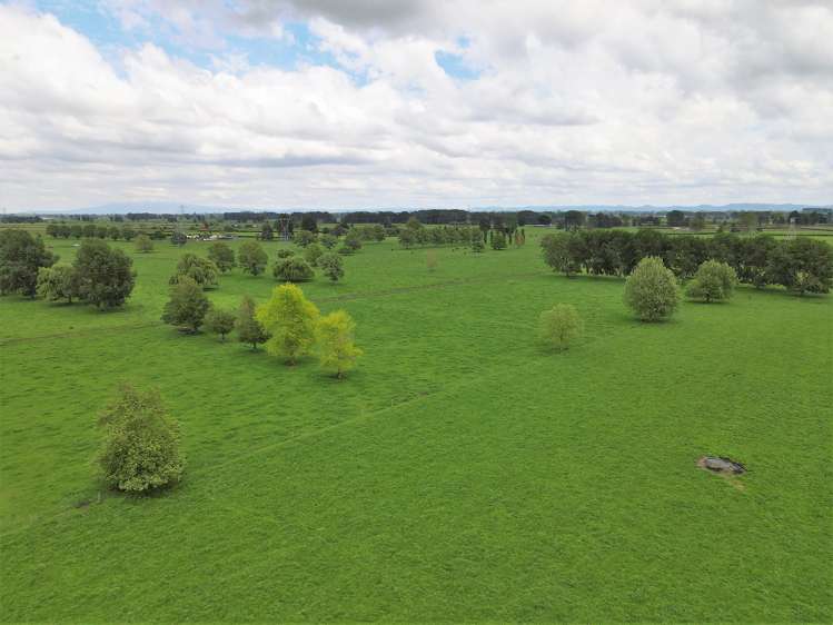 139 Taylor Road Gordonton_3