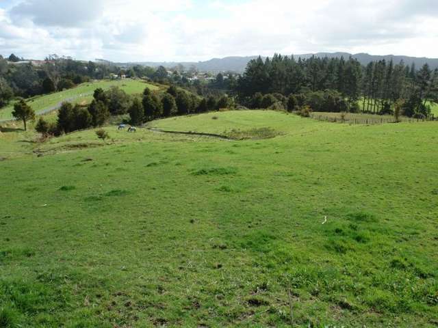 1725 Ruapekapeka Road Kawakawa_2