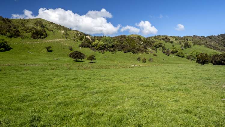 96 Bruces Road Sefton_16