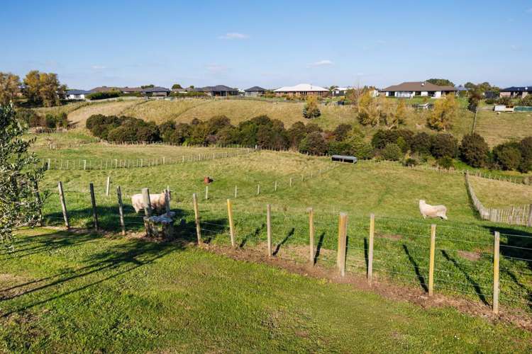 29 Wapiti Avenue Feilding_24