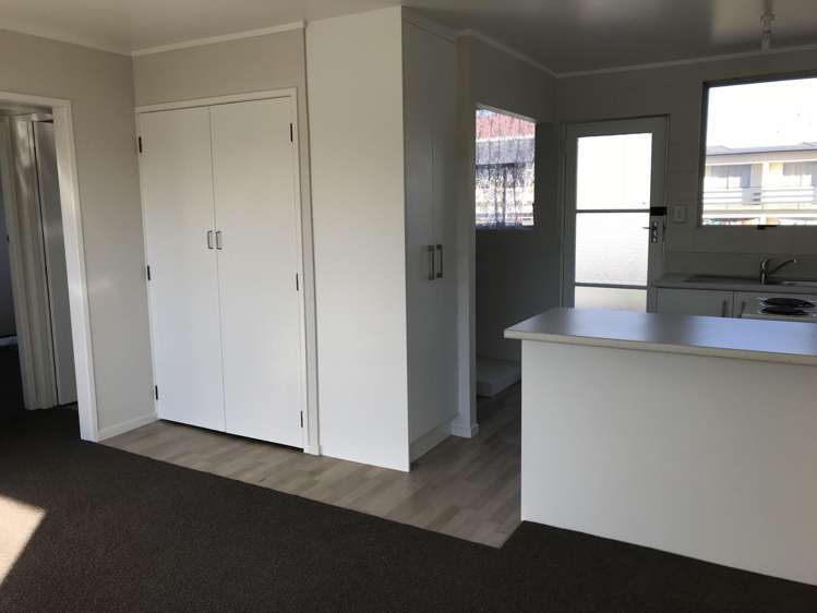 4/33 Old Mill Street Frankton_0