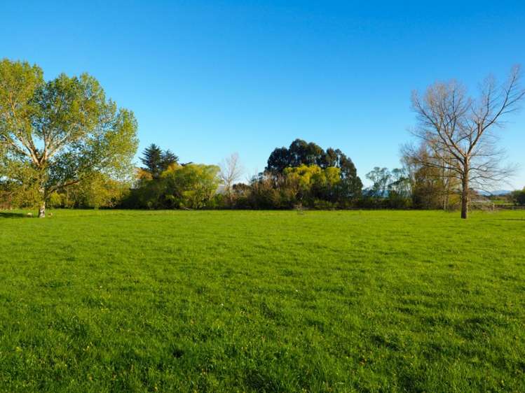 13 Factory Road Cheviot_17