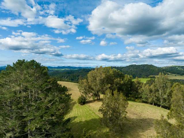 45 Monument Road Kawakawa_2