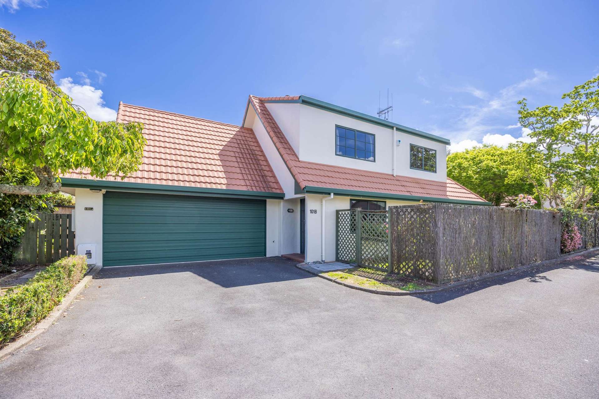 101B Clarence Street Hamilton Lake_0