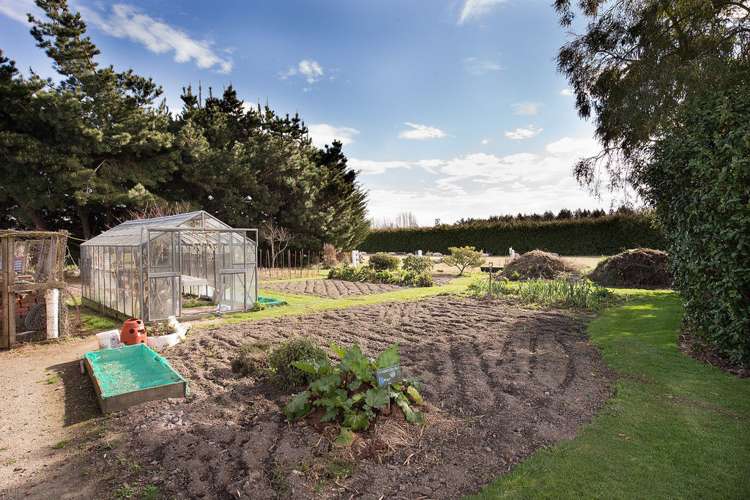 94 Carters Terrace Tinwald_6