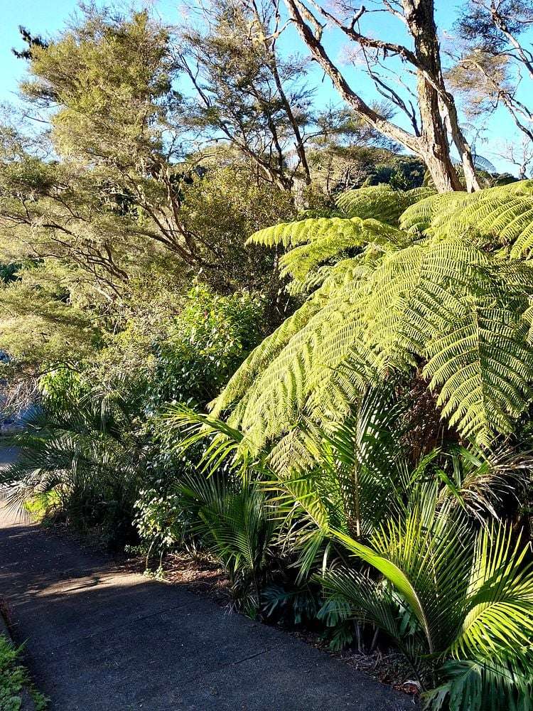 55 Sylvan Valley Avenue Titirangi_18