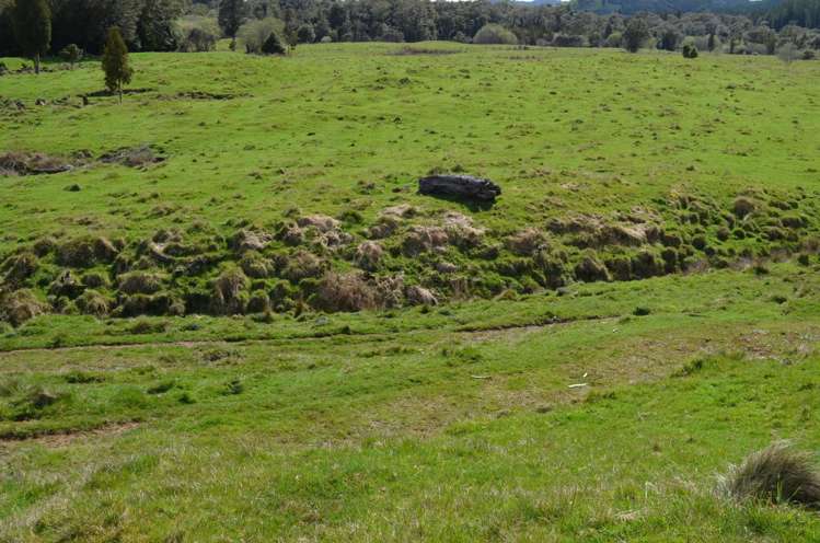 1539 Waitaanga Road Ohura_10