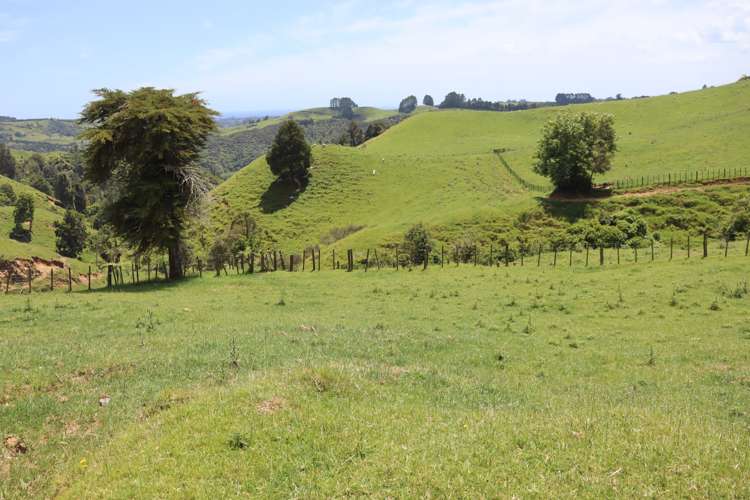 1099 Mataro Road Urenui_21