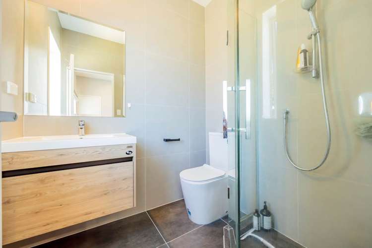 144 Astley Avenue New Lynn_18