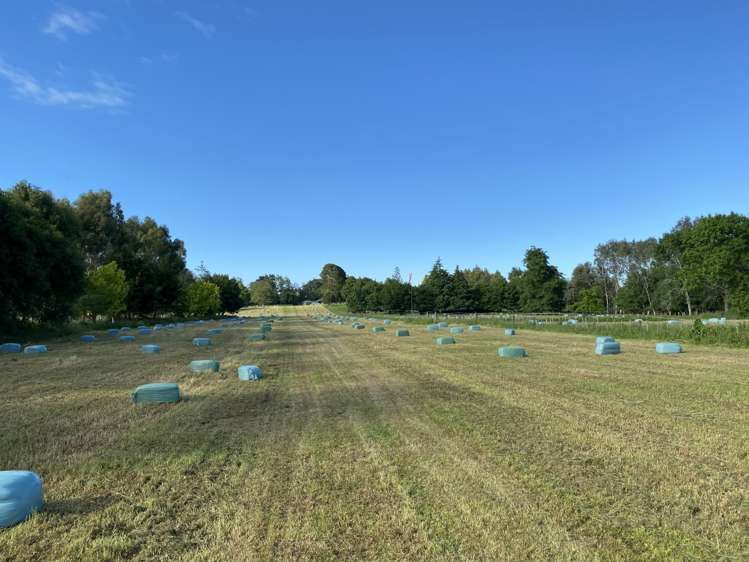 106 Herbert Street Kihikihi_24