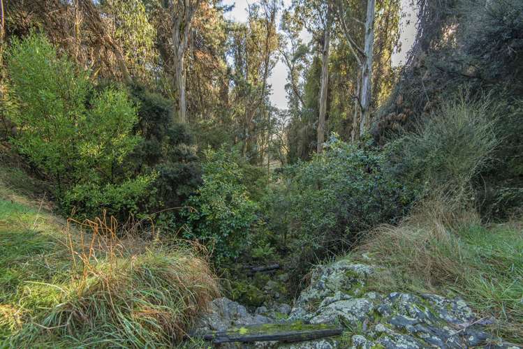 2 Mount Herbert Peak Road Diamond Harbour_15