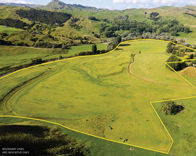 Mahaki Settlement Road Te Karaka_1